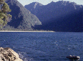 Poison Bay