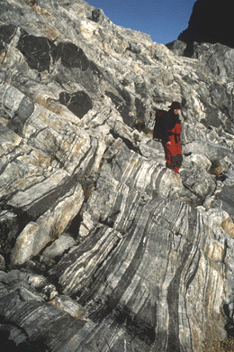 Layered Orthogneiss