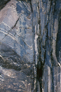 Shear Zone