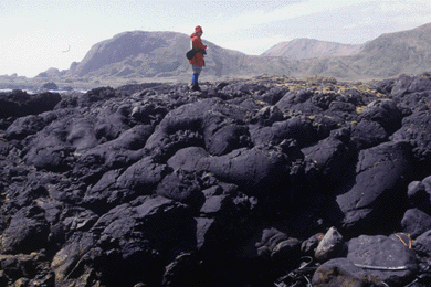 Pillow lava