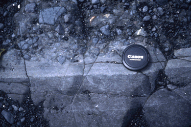 Sedimentary rock