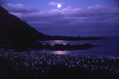 Moon