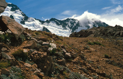 mt cook region